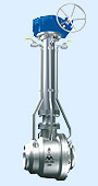 Trunnion mounted ball valves